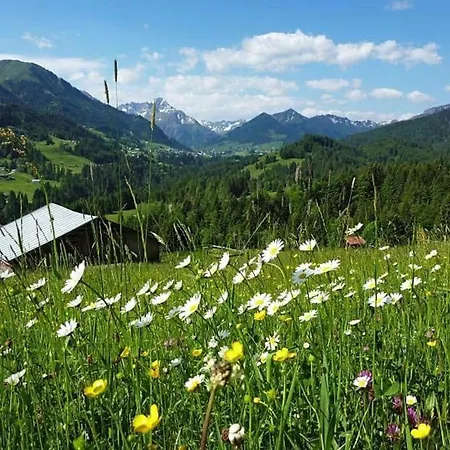 Mittelberg Ferienwohnung Mittelberg